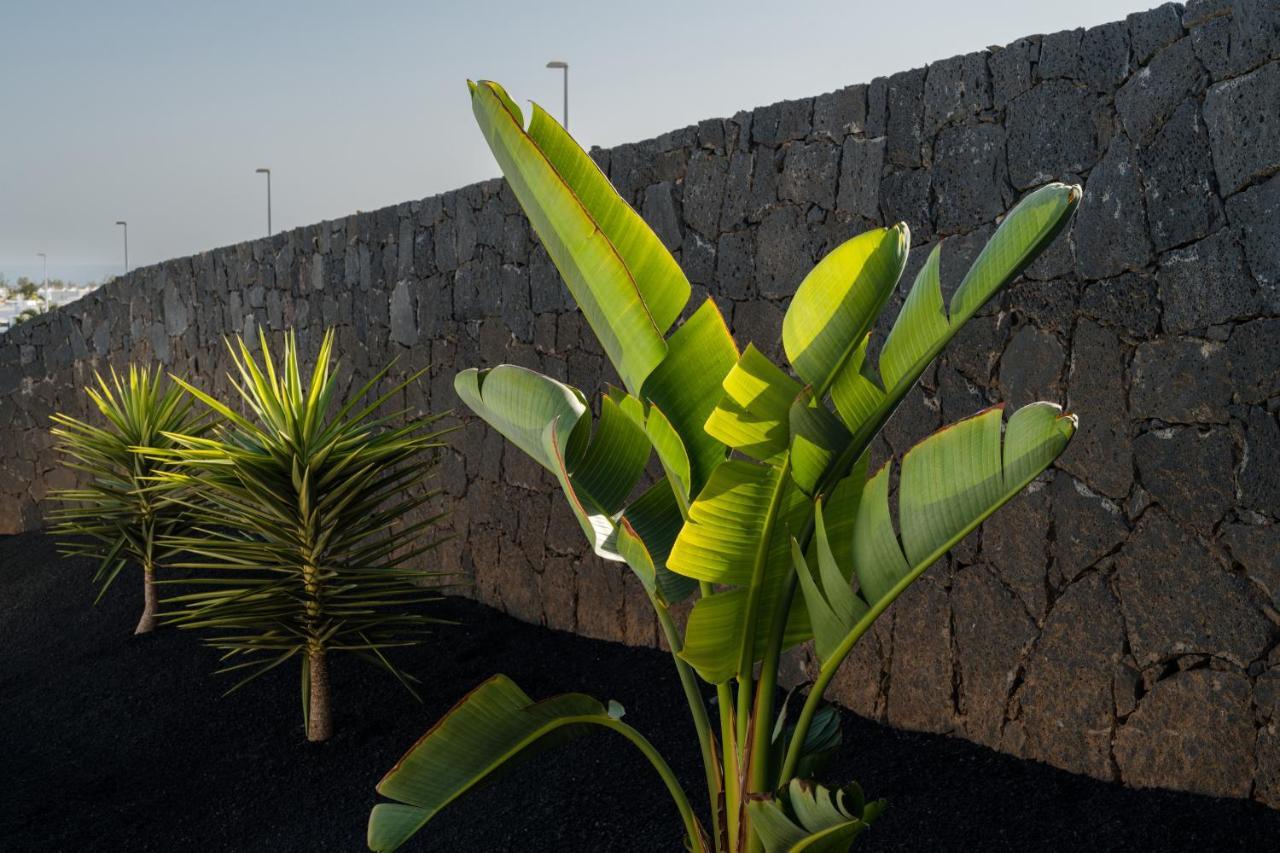 Villas Altos De Lanzarote Playa Blanca  Exteriör bild